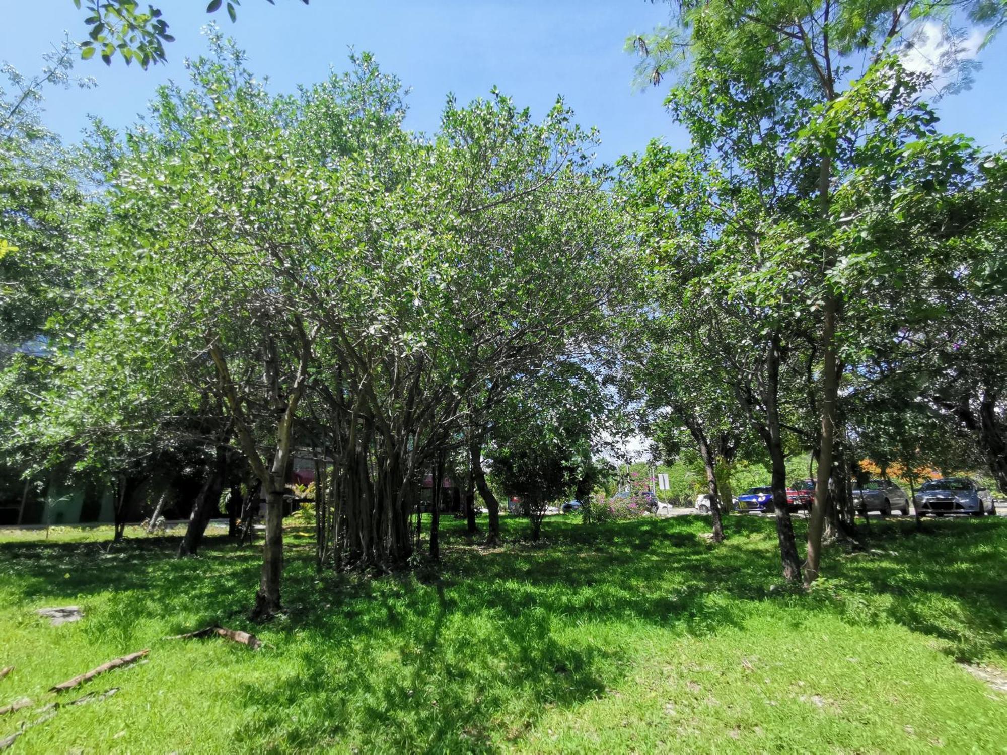 Beautiful & Cozy Near Beach Apartment Pool & Kingsize Bed แคนคูน ห้อง รูปภาพ
